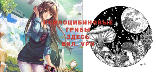 mdpv Костерёво