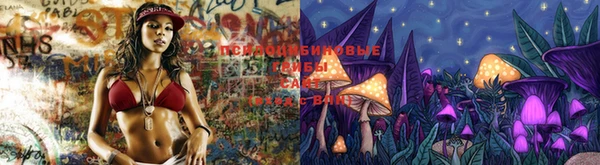 спиды Корсаков