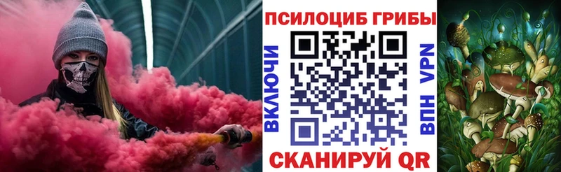 Купить где  Пятигорск  Галлюциногенные грибы Psilocybine cubensis 