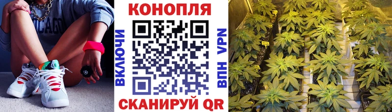 МАРИХУАНА индика  Купить  Пятигорск 